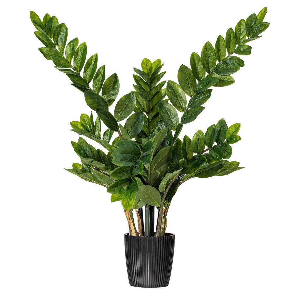 Vickerman Potted Green Zamifolia Bush