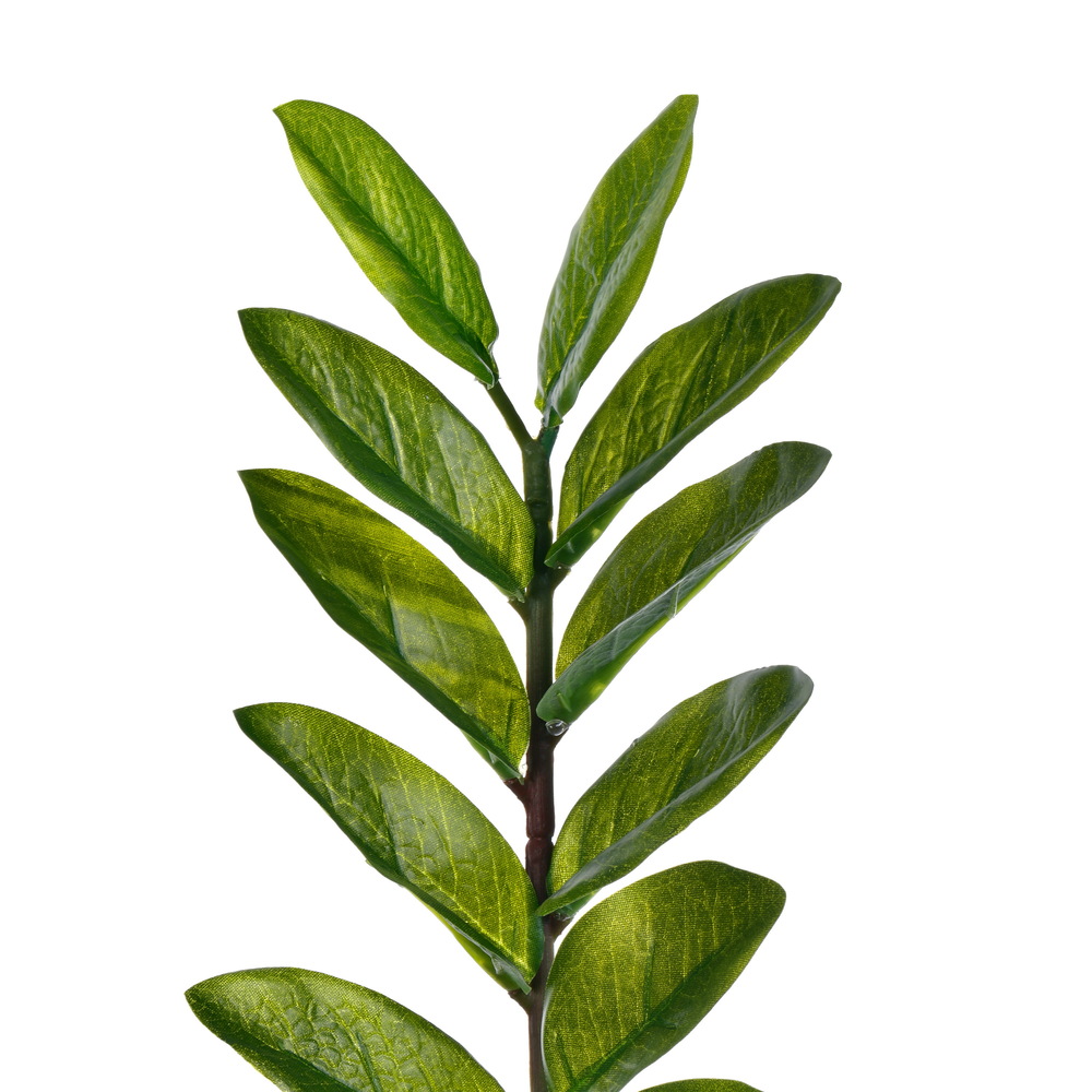 Vickerman Potted Green Zamifolia Bush