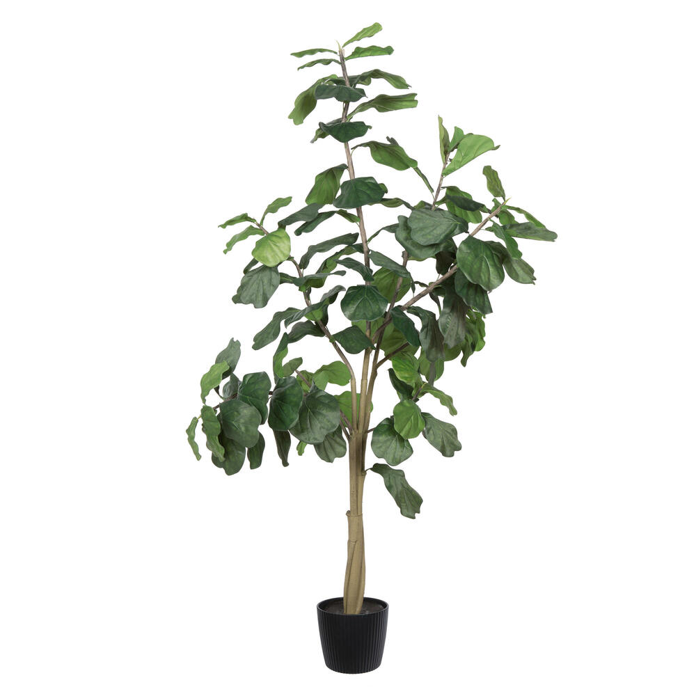 Full Trees