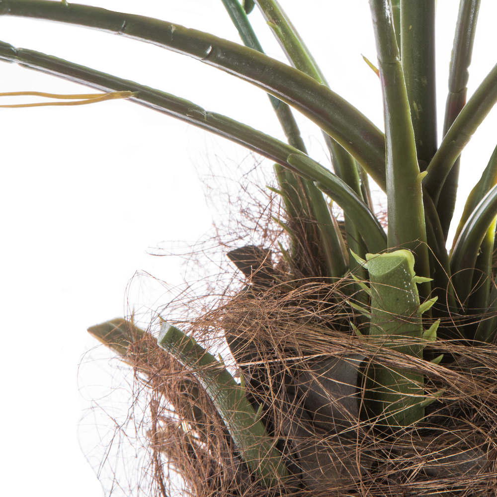 Vickerman Artificial Potted Pheonix Palm Tree