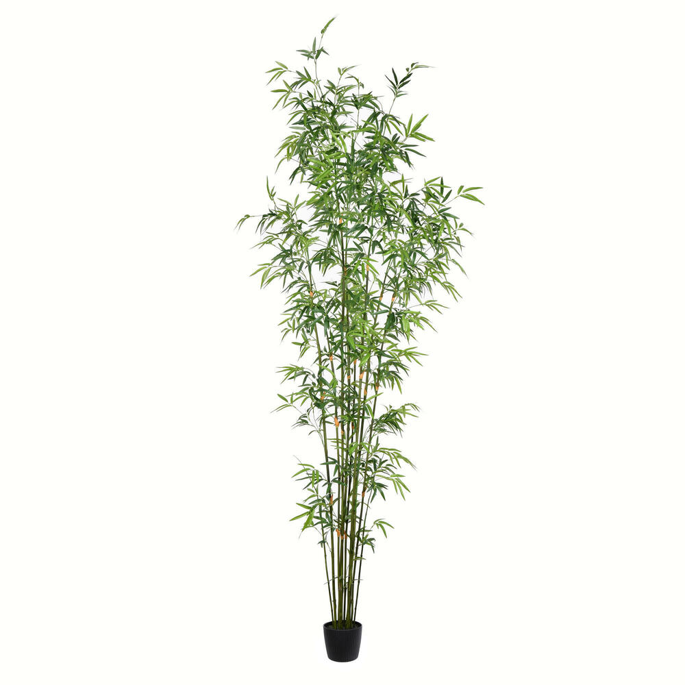 Mini Bamboo Trees