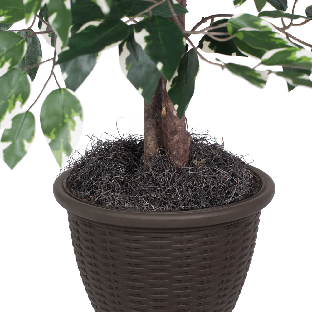 Vickerman Artificial Variegated Ficus Series