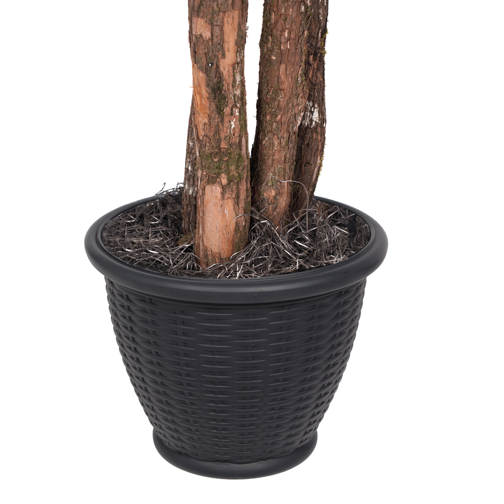 Vickerman Artificial Ming Aralia Bush
