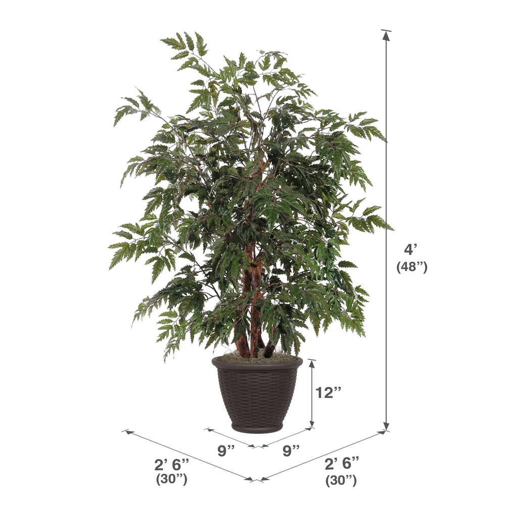 Vickerman Artificial Ming Aralia Bush