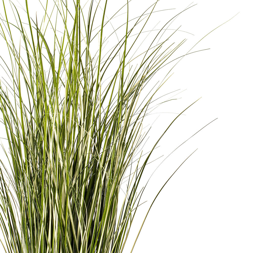 Vickerman Artificial Potted Grass