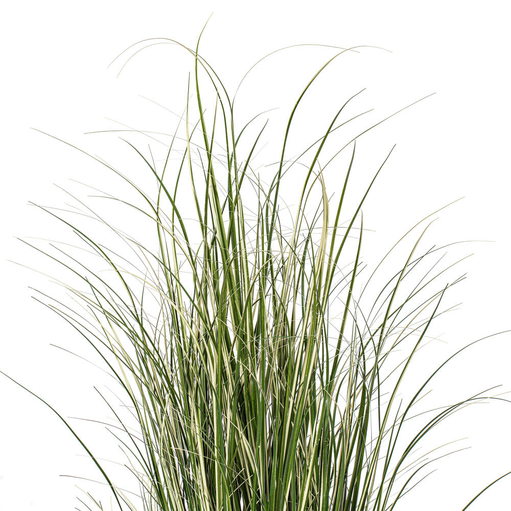 Vickerman Artificial Potted Grass