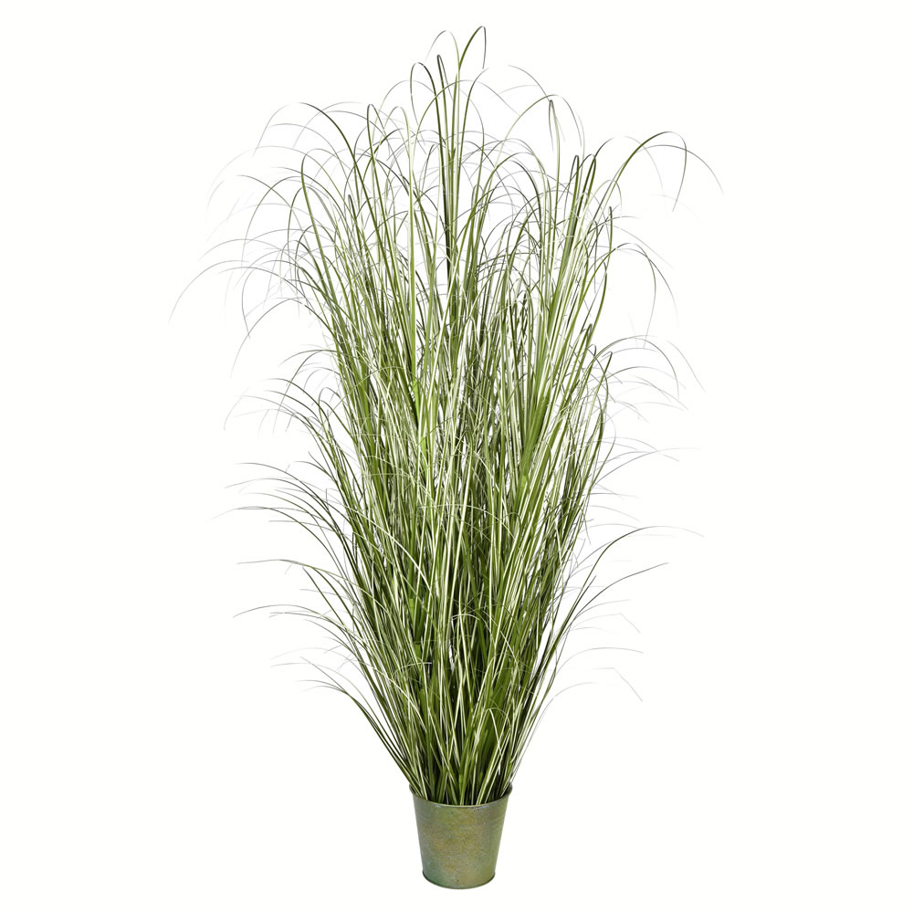 Native Grass