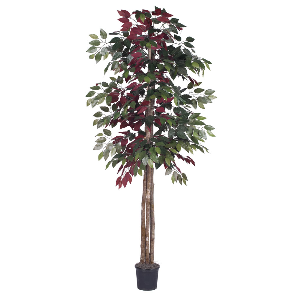 Vickerman Artificial Capensia Deluxe Potted Tree