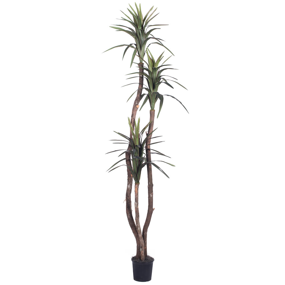 Vickerman Artificial Marginata Tree