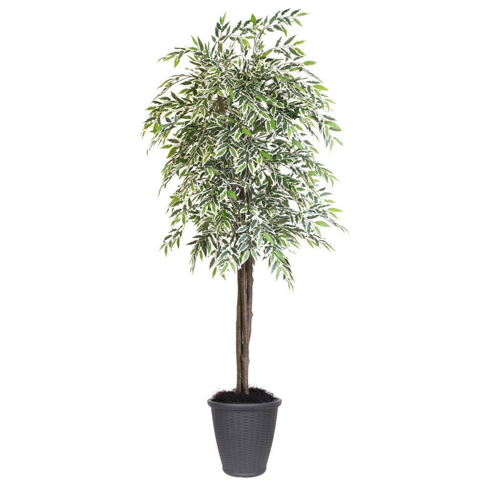 Vickerman Artificial Variegated Smilax Series