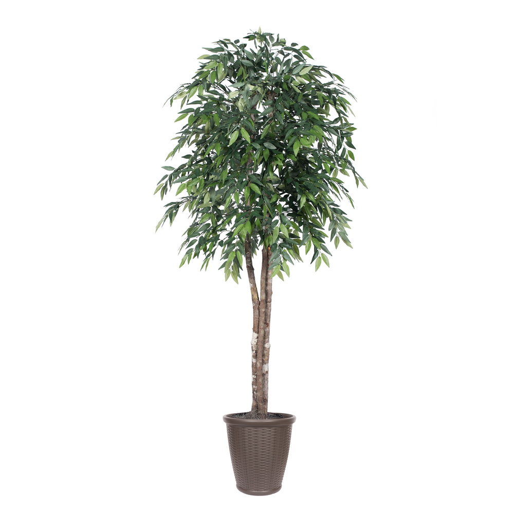 Vickerman Artificial Green Smilax Series