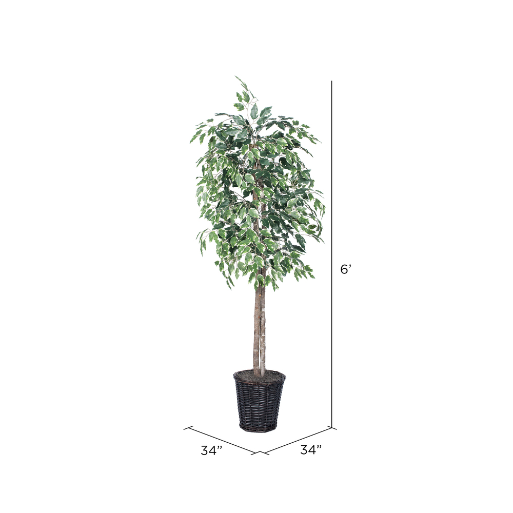 Vickerman 6' Artificial Variegated Ficus Tree