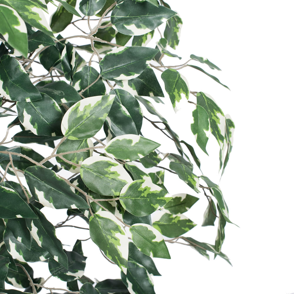 Vickerman 6' Artificial Variegated Ficus Tree
