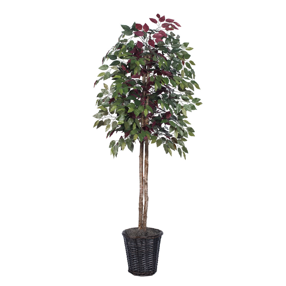 Vickerman Artificial 6' Capensia Potted Tree