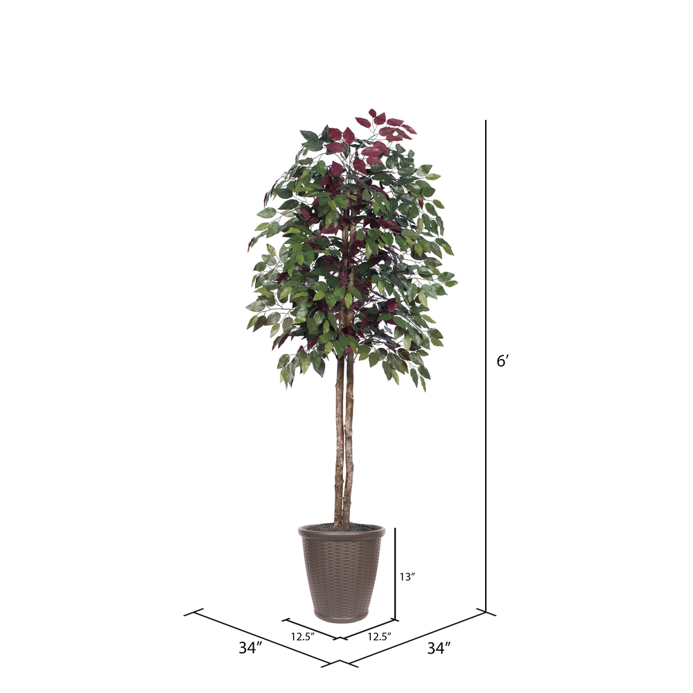 Vickerman Artificial 6' Capensia Potted Tree