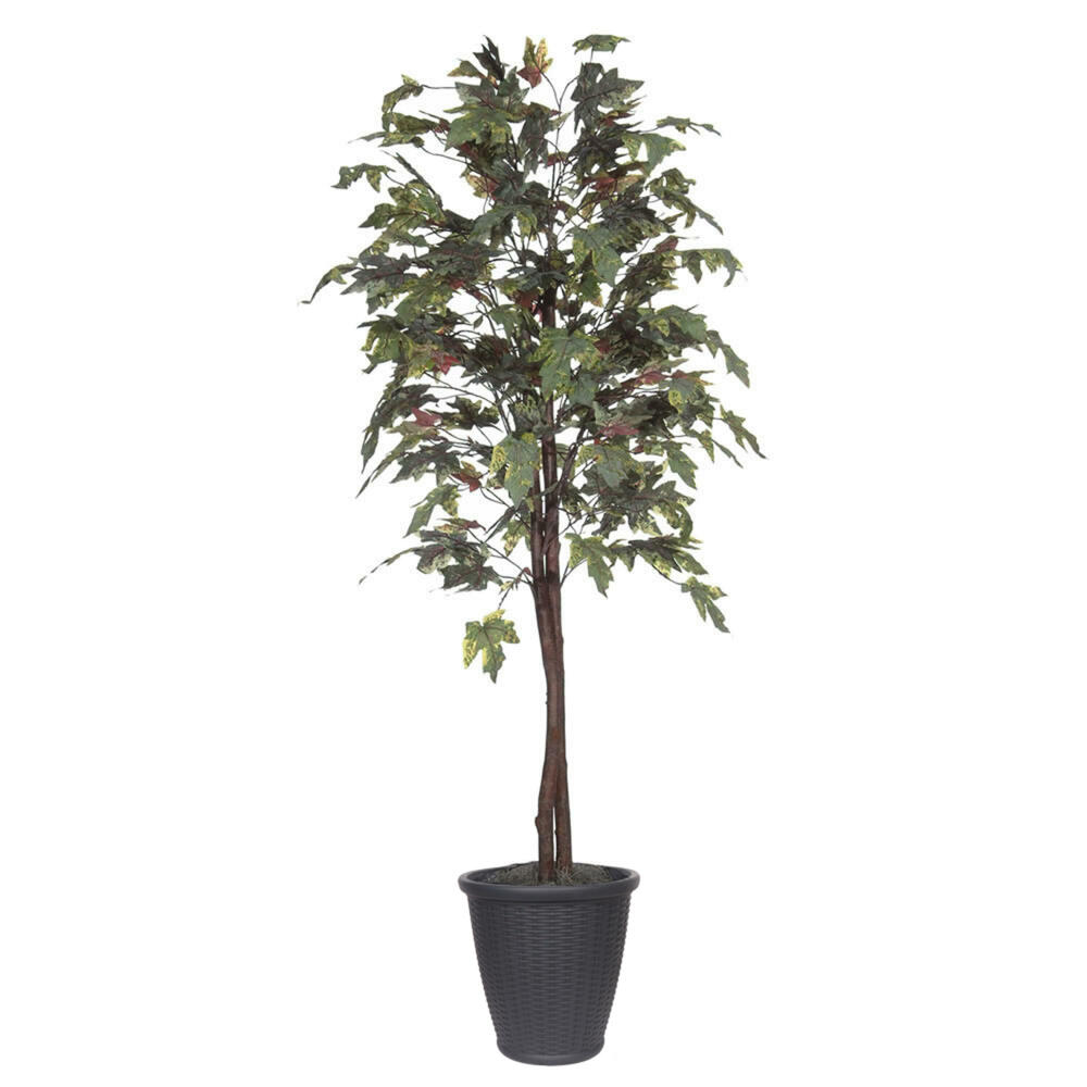 Vickerman Artificial Frosted Maple Tree
