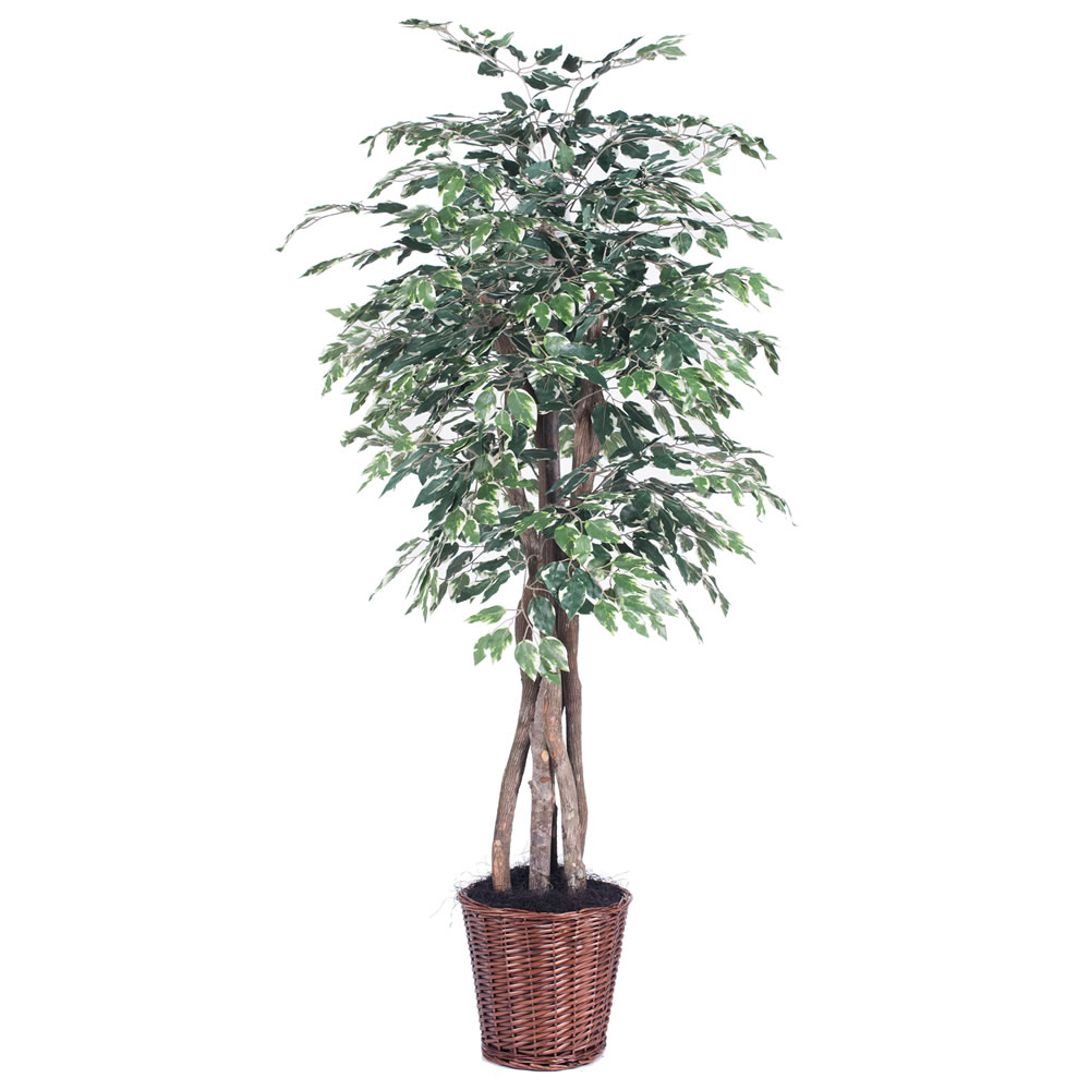 Vickerman Artificial Variegated Ficus Extra Full Series