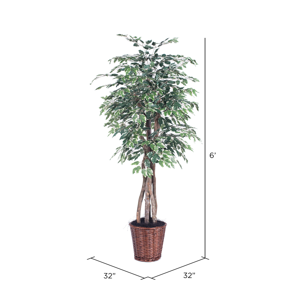 Vickerman Artificial Variegated Ficus Extra Full Series