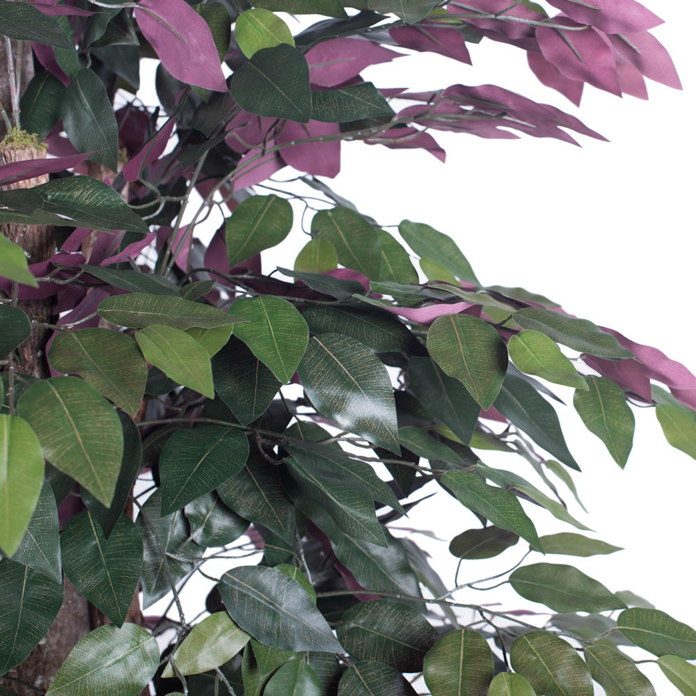 Vickerman Artificial Capensia Executive Potted Tree