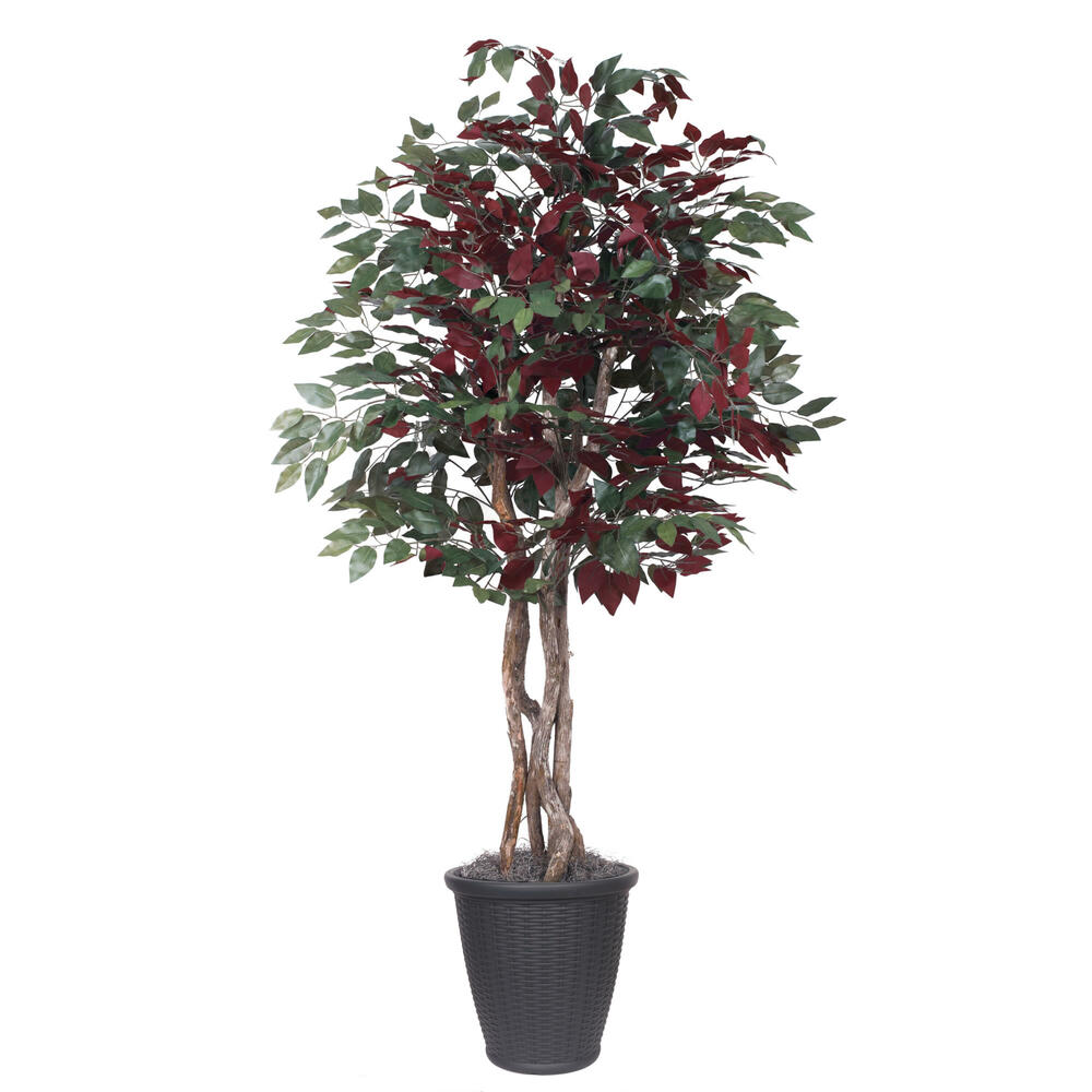 Vickerman Artificial Capensia Executive Potted Tree