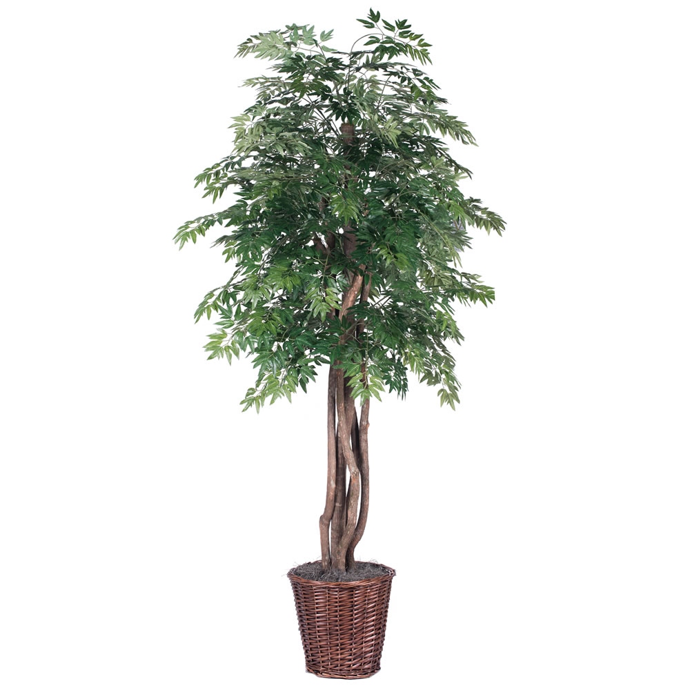 Vickerman Artificial Ming Aralia Extra Full Series