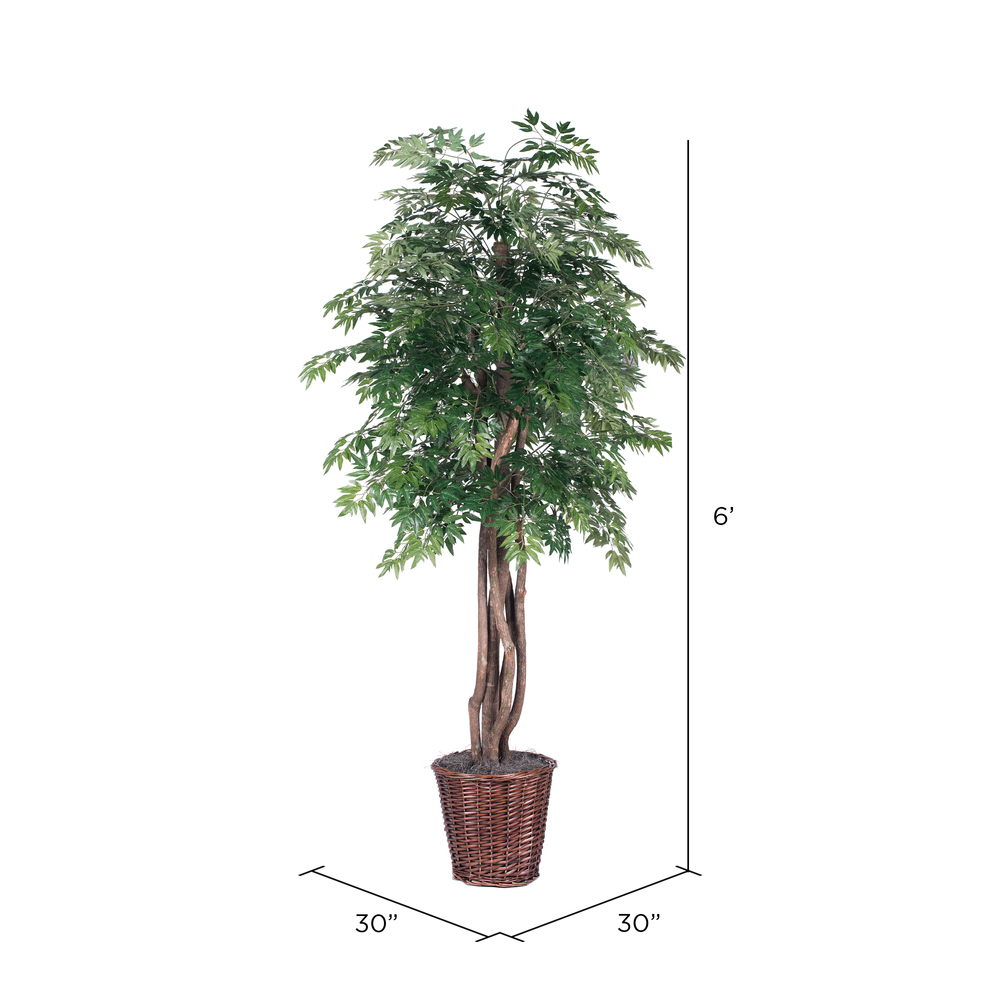 Vickerman Artificial Ming Aralia Extra Full Series