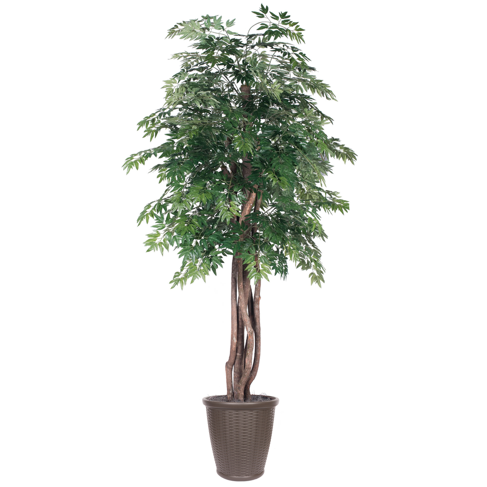 Vickerman Artificial Ming Aralia Extra Full Series