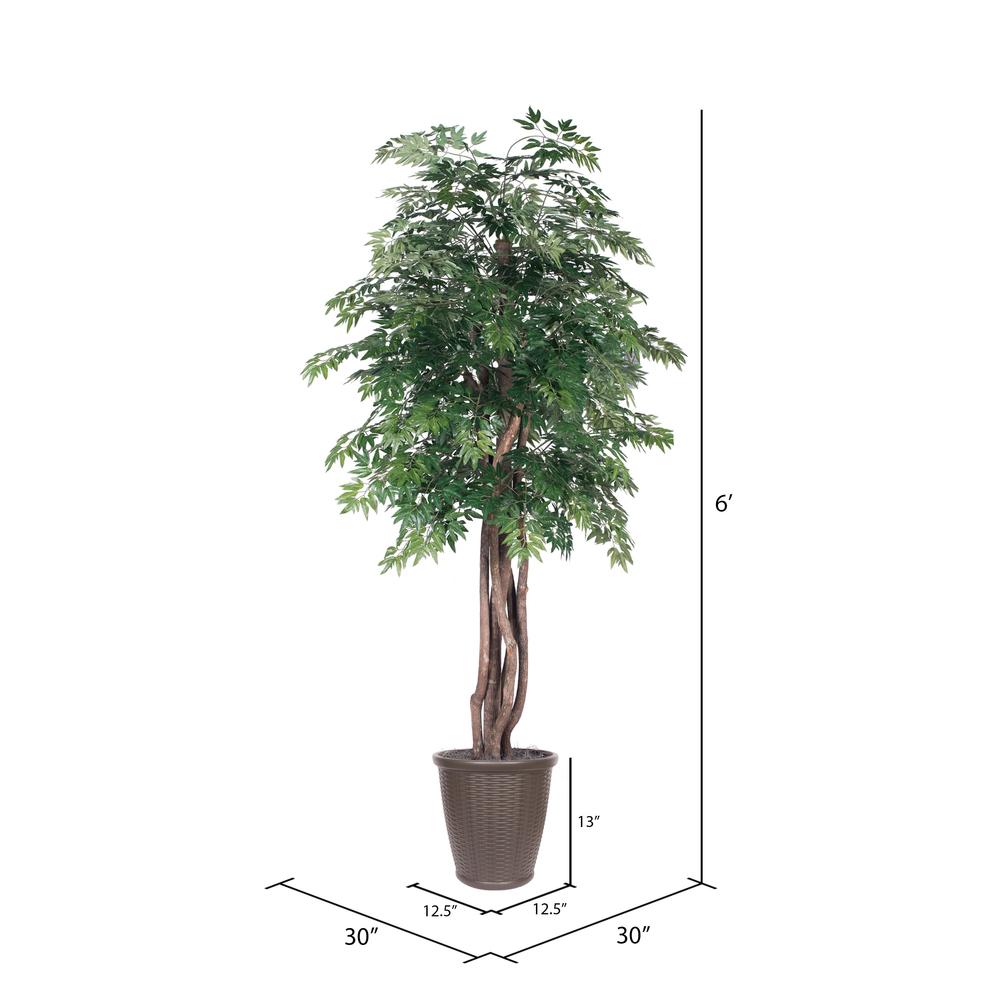 Vickerman Artificial Ming Aralia Extra Full Series