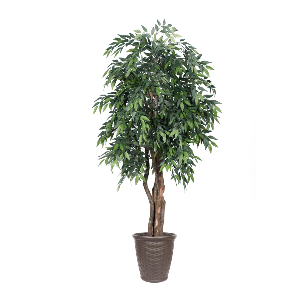 Vickerman Artificial Green Smilax Extra Full Series