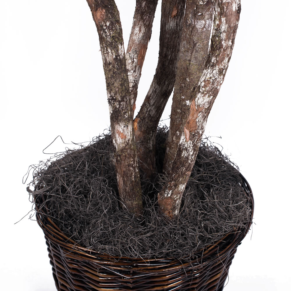 Vickerman Artificial Japanese Maple Extra Full Series