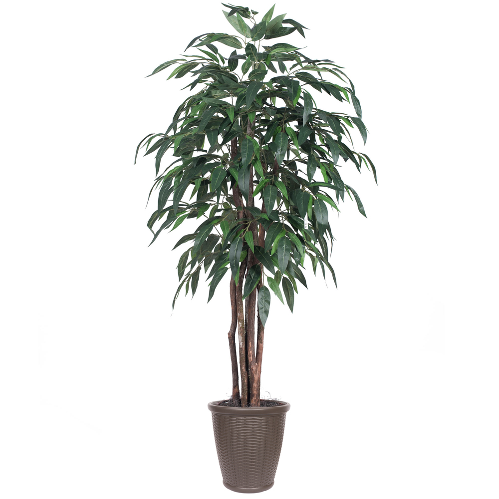 Vickerman Artificial Mango Extra Full Series