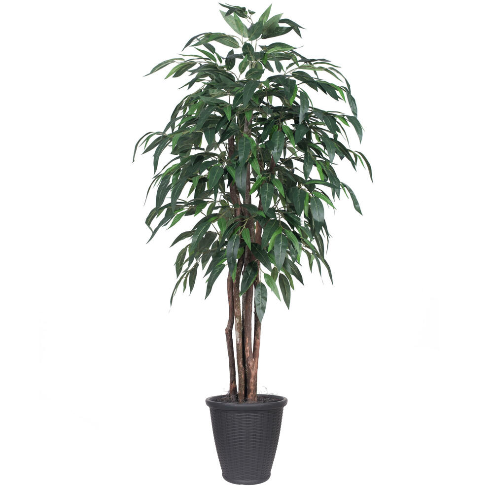 Vickerman Artificial Mango Extra Full Series