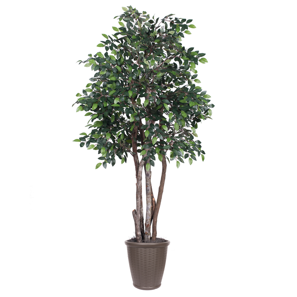 Vickerman Artificial Mini Ficus Extra Full Series