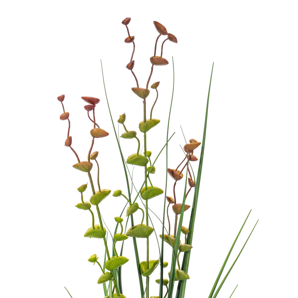 36" Eucalyptus Grass Spray 6/Pk