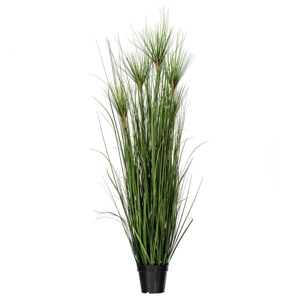 Brushed Grass
