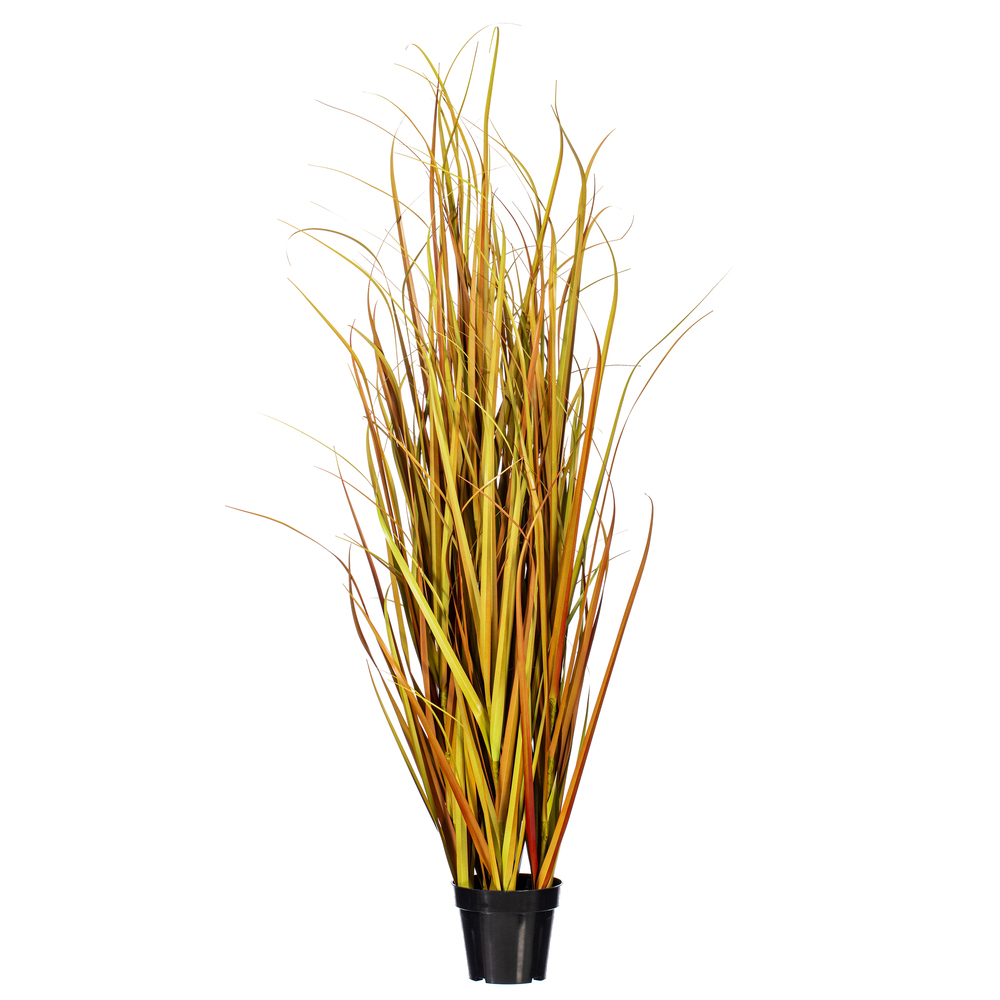 Brown Grass