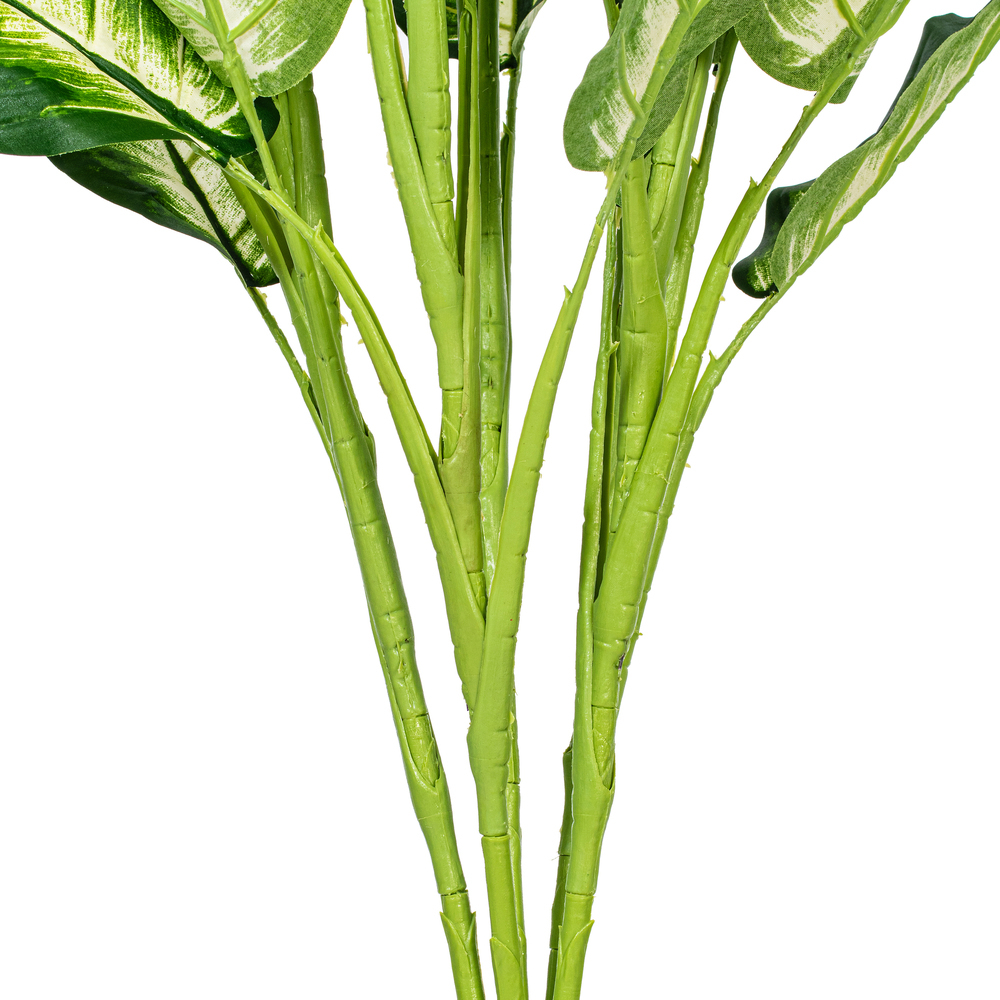Vickerman Artificial Green and White Dieffenbachia Plant