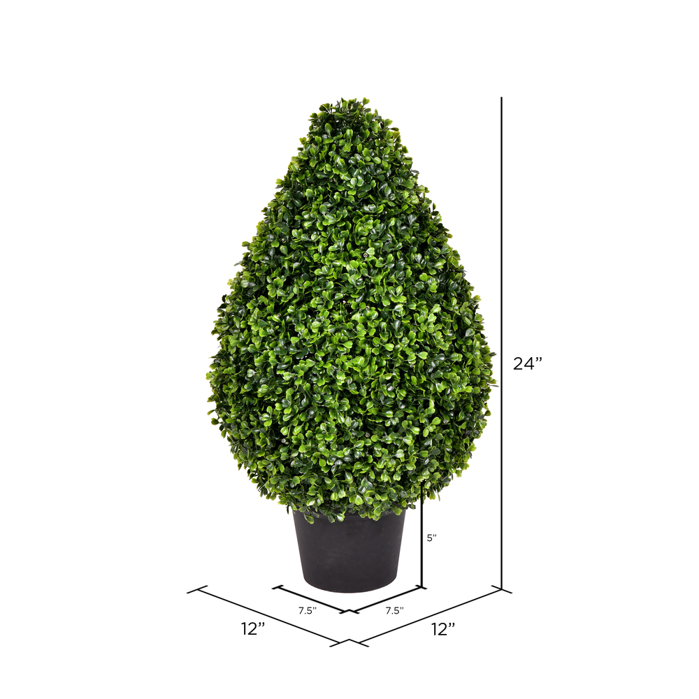 Vickerman Boxwood Teardrop Shaped Bush