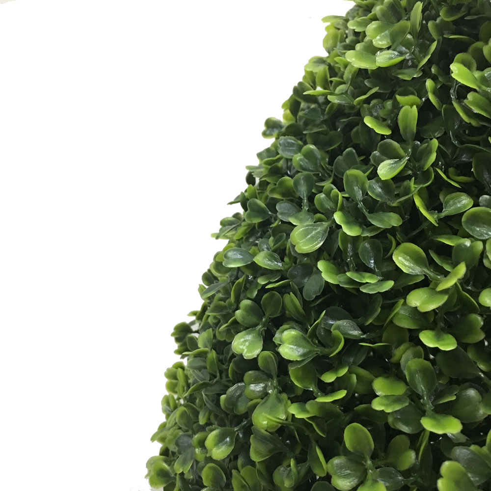 Vickerman Boxwood Teardrop Shaped Bush