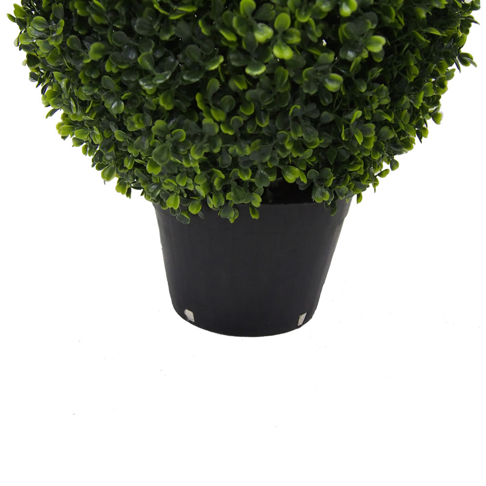 Vickerman Boxwood Teardrop Shaped Bush