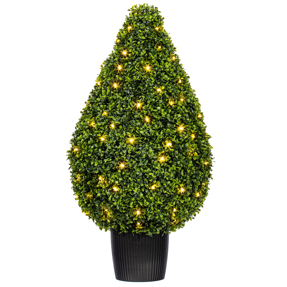 Vickerman Boxwood Teardrop Shaped Bush