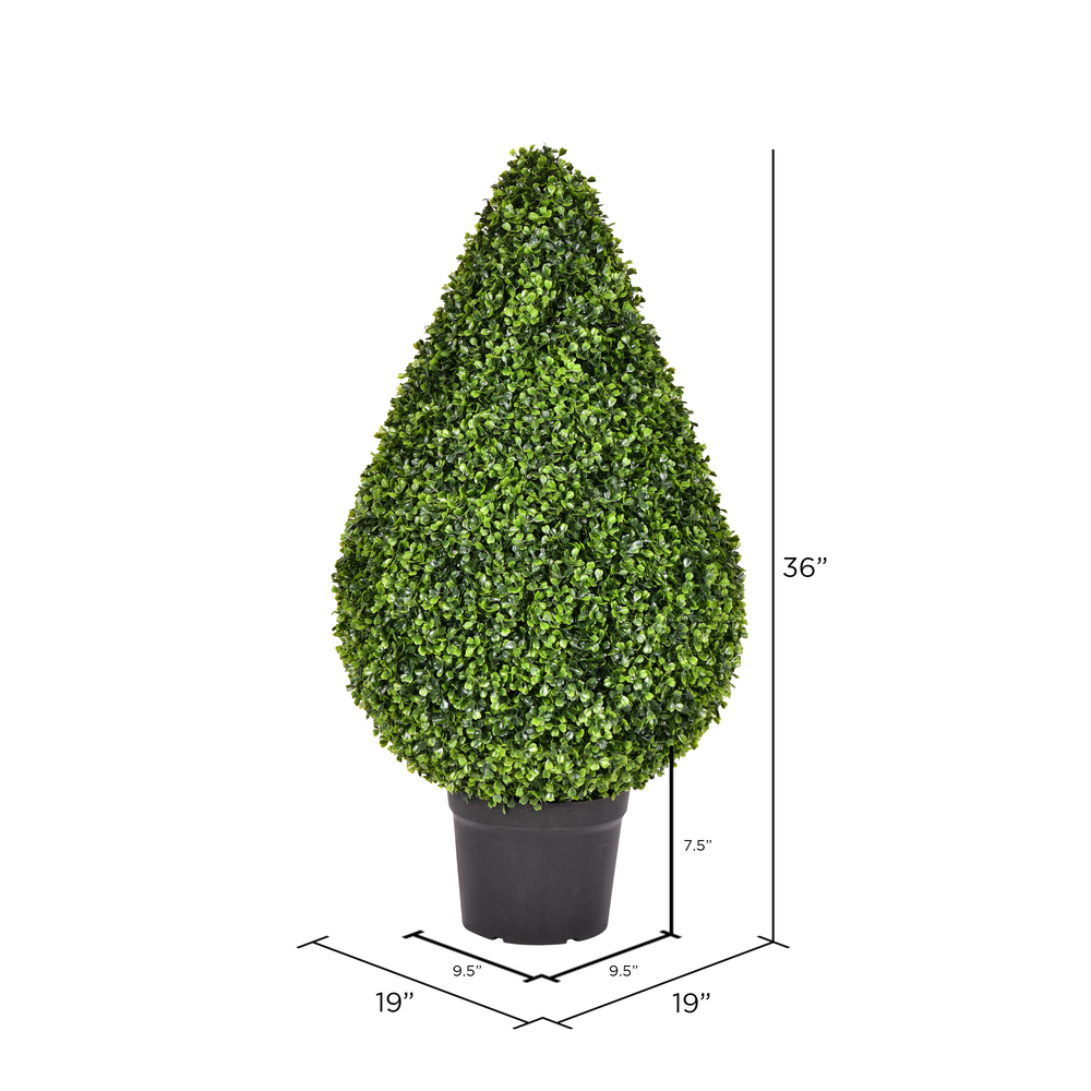 Vickerman Boxwood Teardrop Shaped Bush