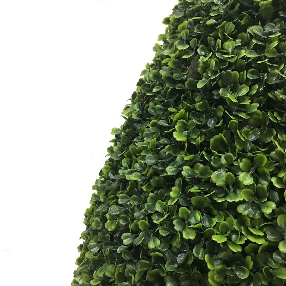 Vickerman Boxwood Teardrop Shaped Bush