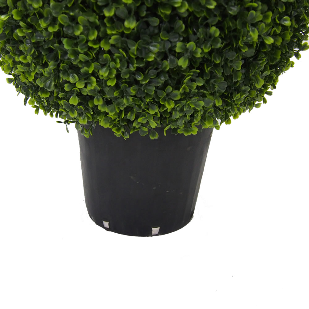 Vickerman Boxwood Teardrop Shaped Bush