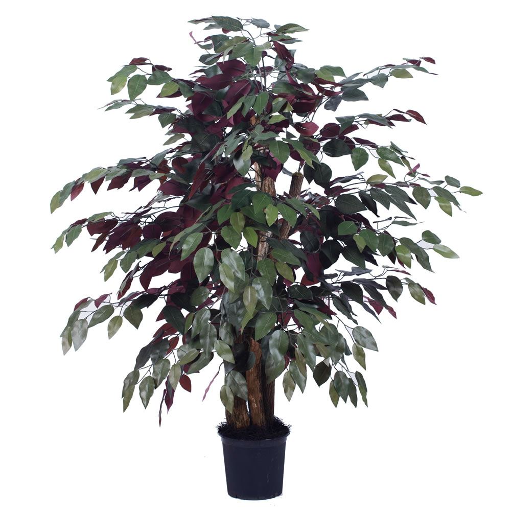 Vickerman Artificial Capensia Executive Potted Tree