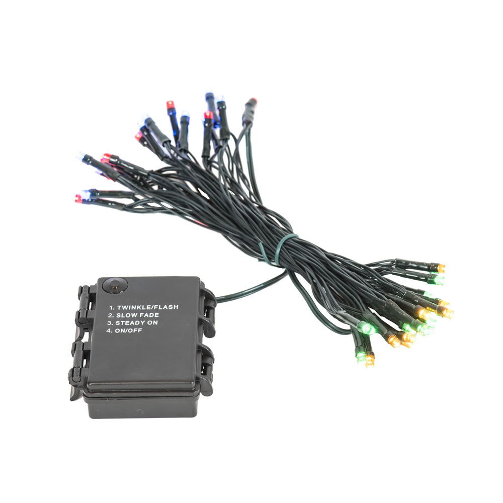 Vickerman Battery Operated LED Lights