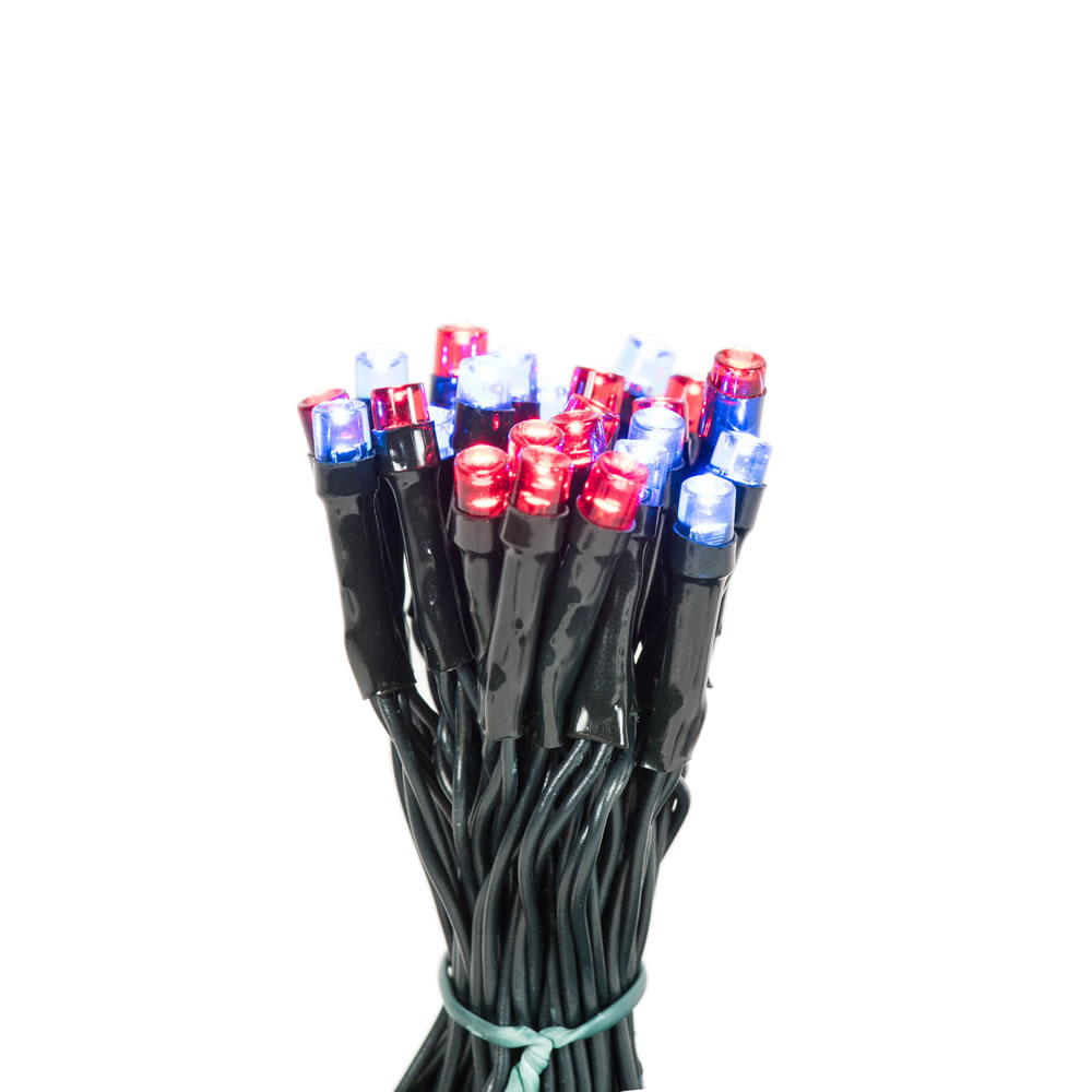 Vickerman Battery Operated LED Lights