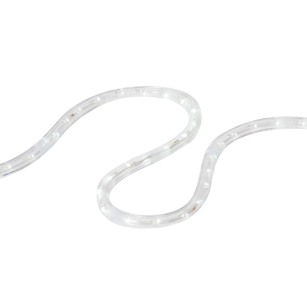 Vickerman LED Rope Light