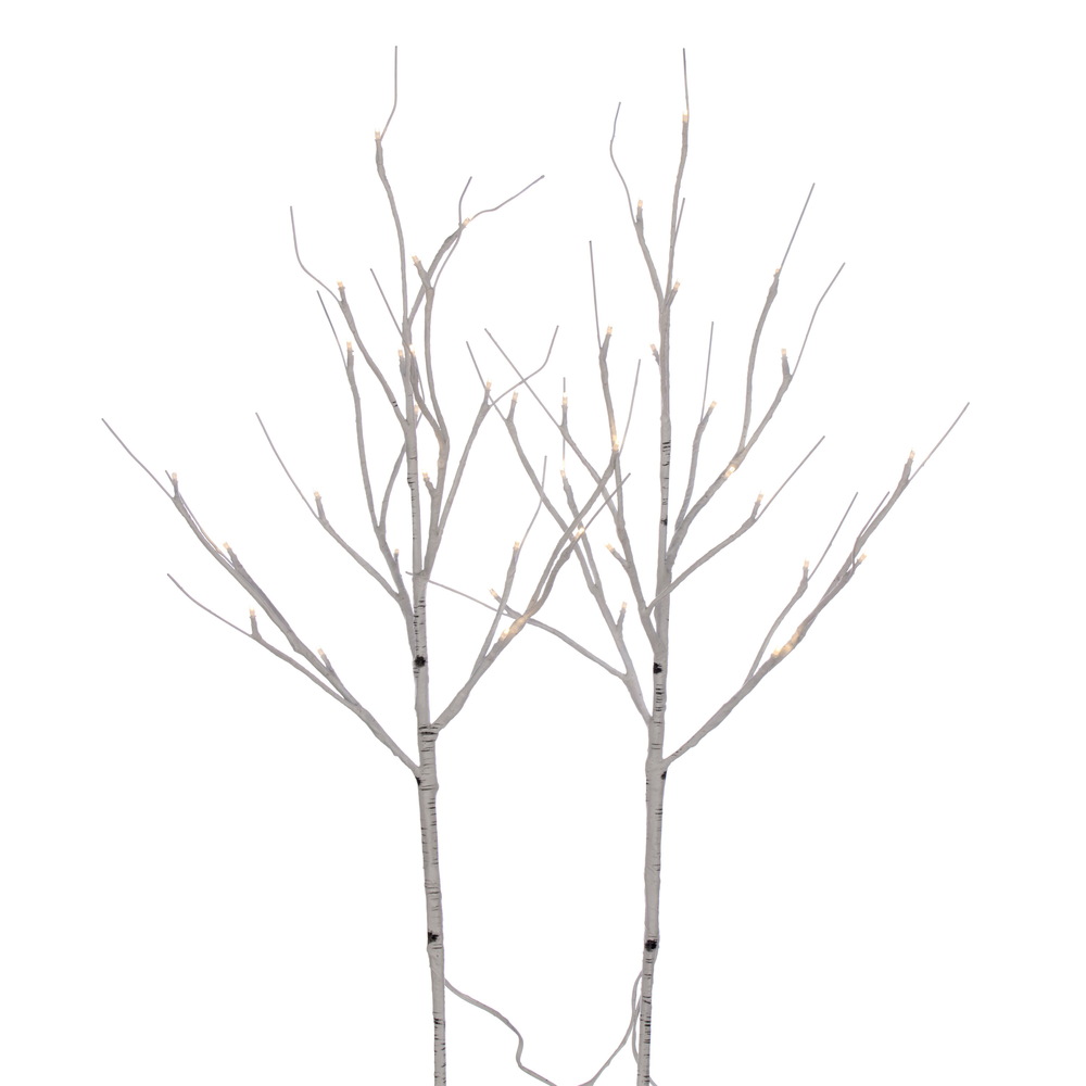 Twig Branch