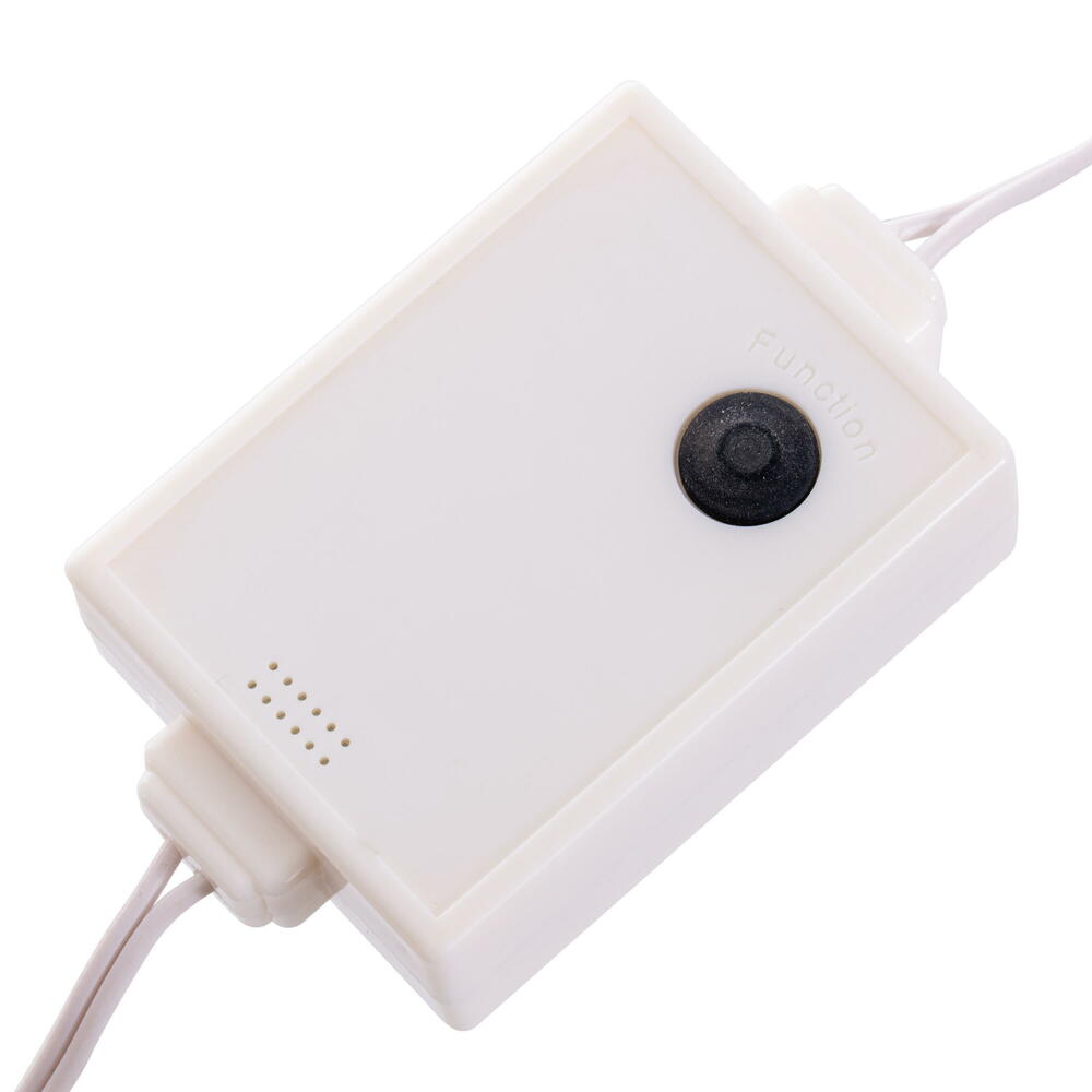 Vickerman Remote Controlled RGB-Warm White White Starburst